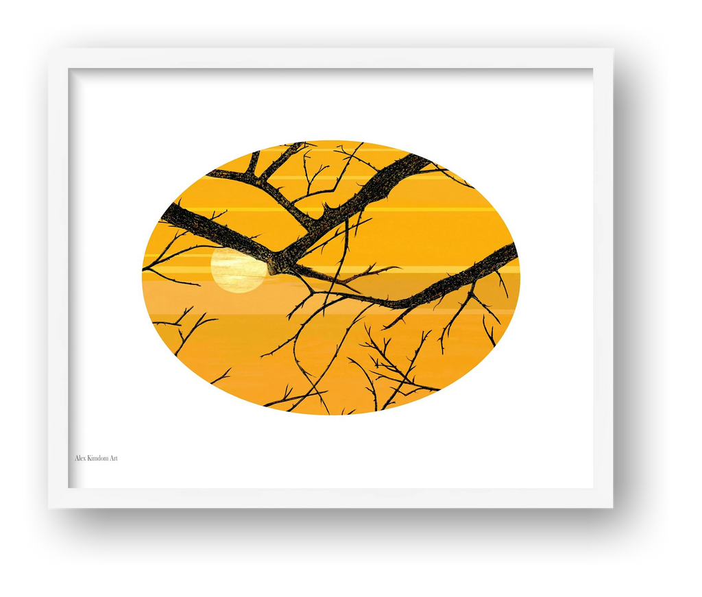 Sun and Branches — framed