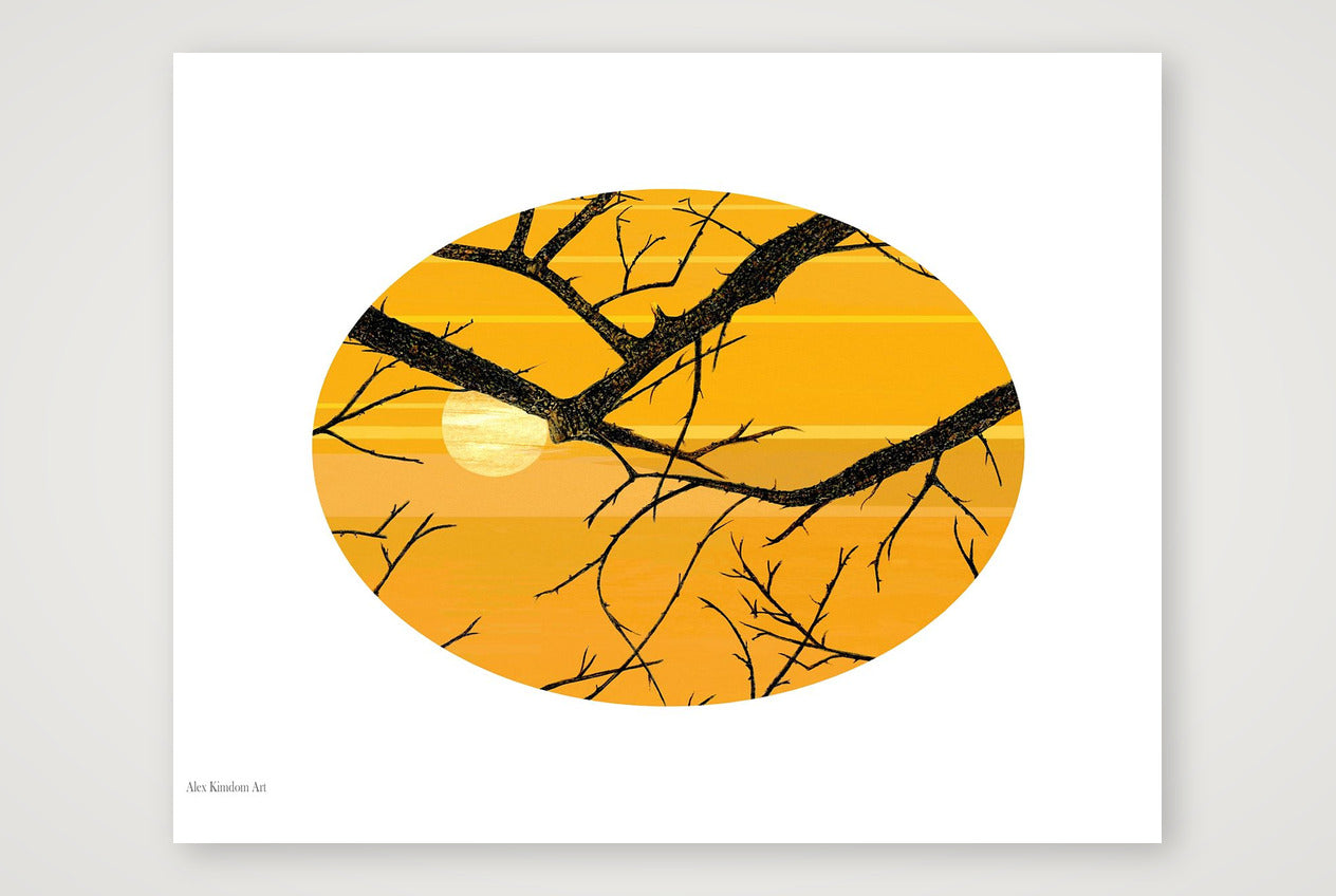 Sun and Branches — 35×28cm, 14×11" Print only