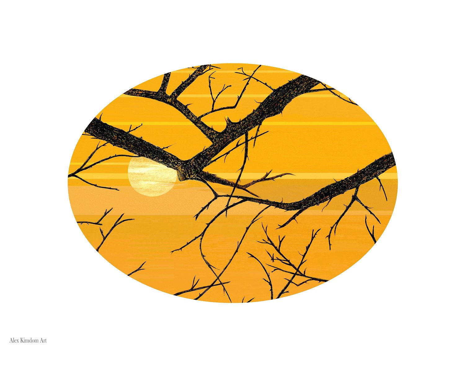 Sun and Branches