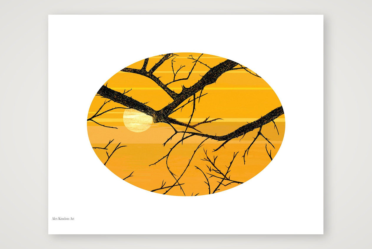 Sun and Branches — 50×40cm, 20×16" Print only